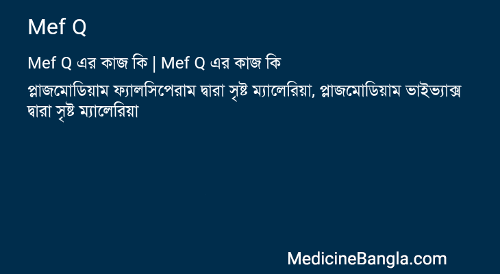 Mef Q in Bangla