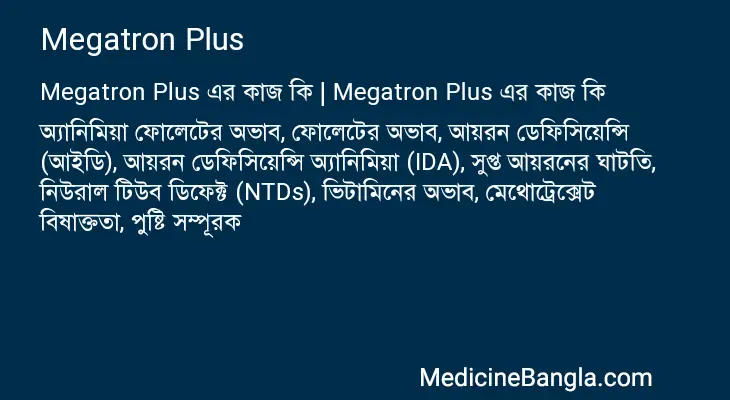 Megatron Plus in Bangla