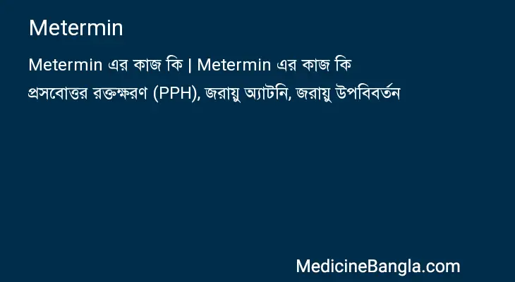 Metermin in Bangla