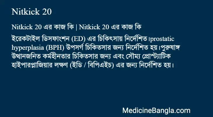 Nitkick 20 in Bangla