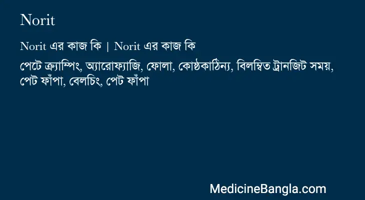 Norit in Bangla