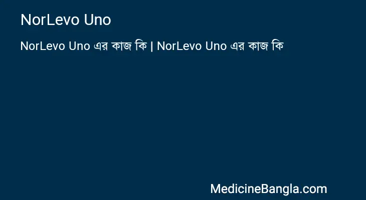 NorLevo Uno in Bangla