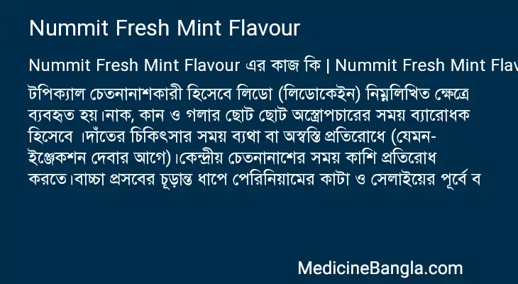 Nummit Fresh Mint Flavour in Bangla