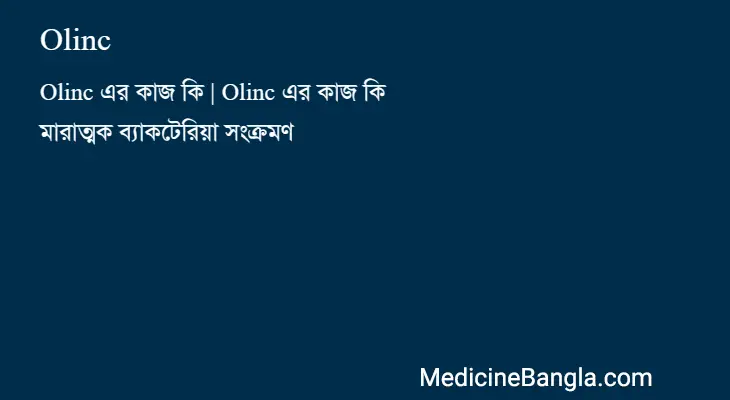 Olinc in Bangla