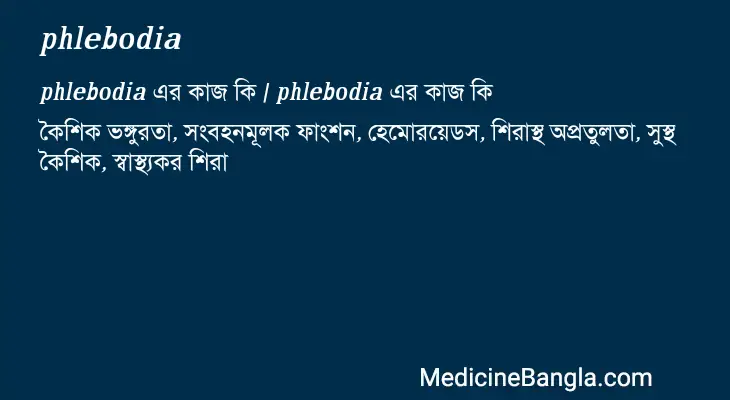 phlebodia in Bangla