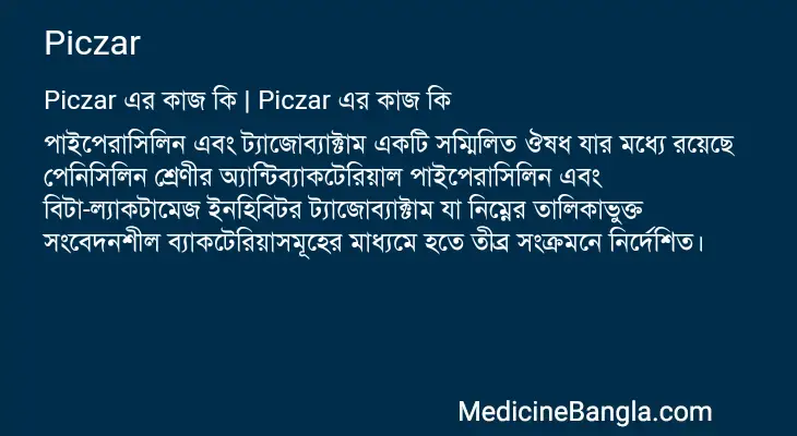 Piczar in Bangla