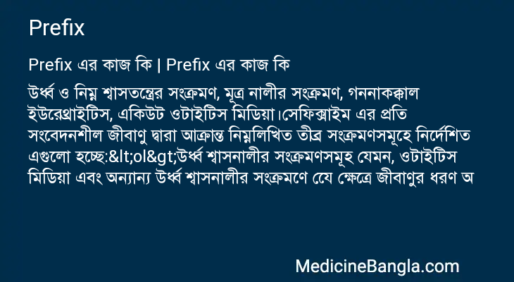 Prefix in Bangla