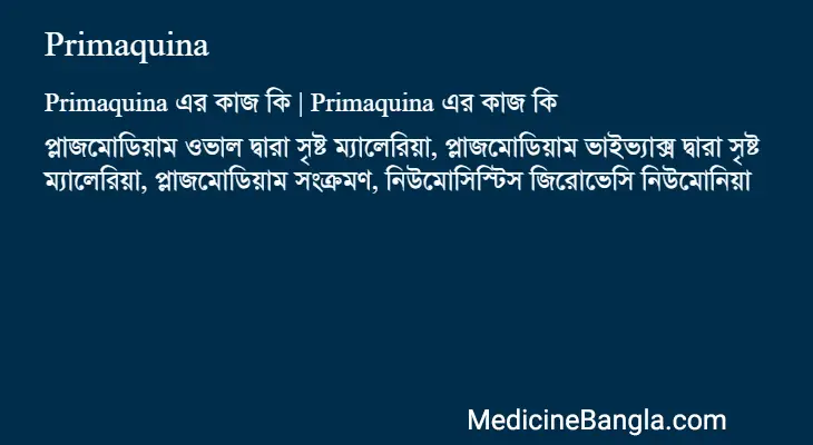 Primaquina in Bangla