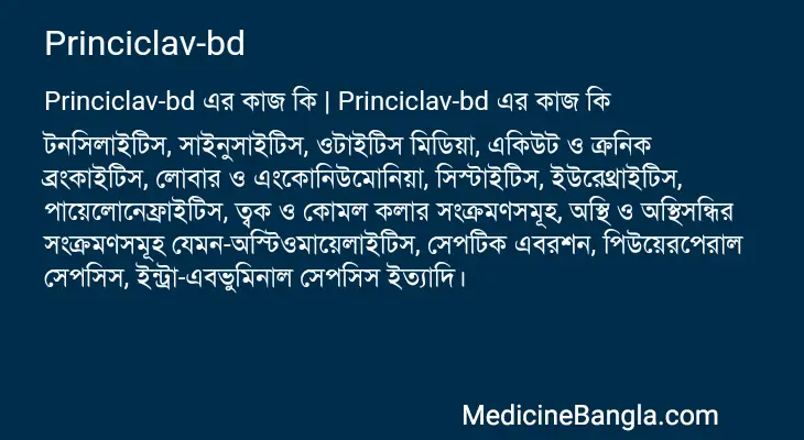 Princiclav-bd in Bangla