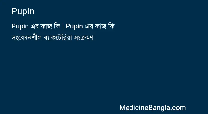 Pupin in Bangla