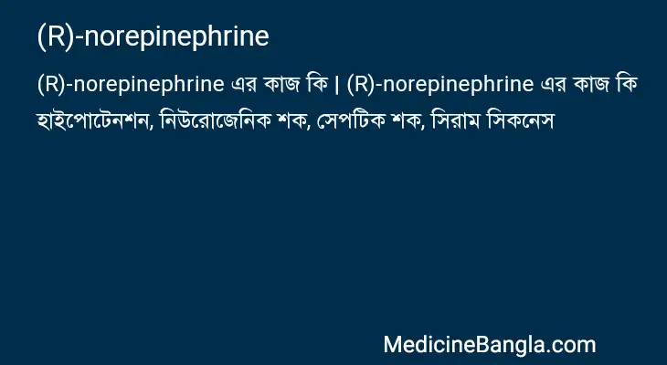 (R)-norepinephrine in Bangla