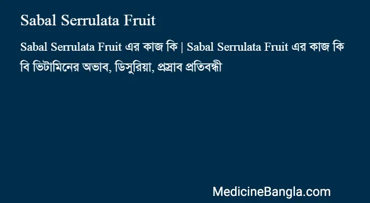 Sabal Serrulata Fruit in Bangla