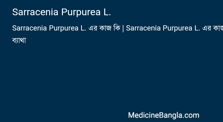 Sarracenia Purpurea L. in Bangla