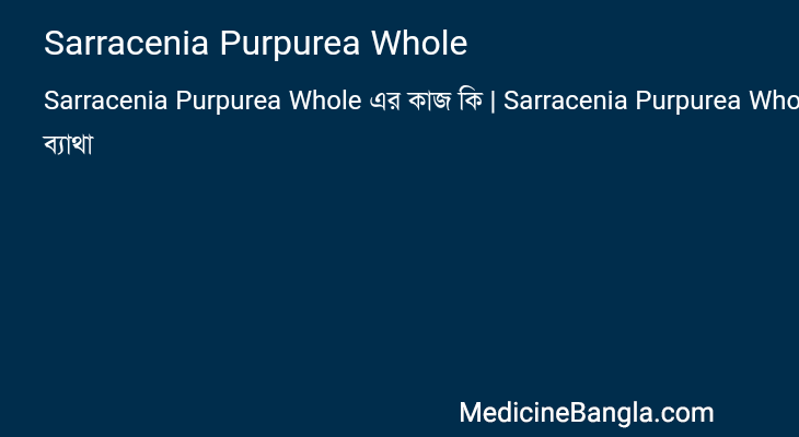Sarracenia Purpurea Whole in Bangla