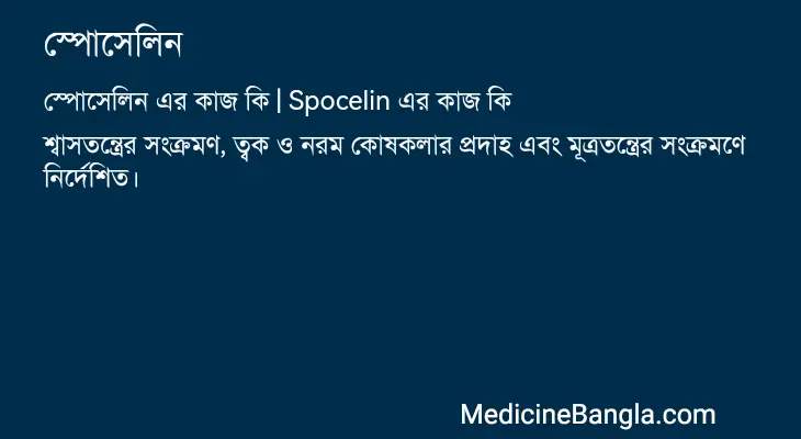 স্পোসেলিন in Bangla