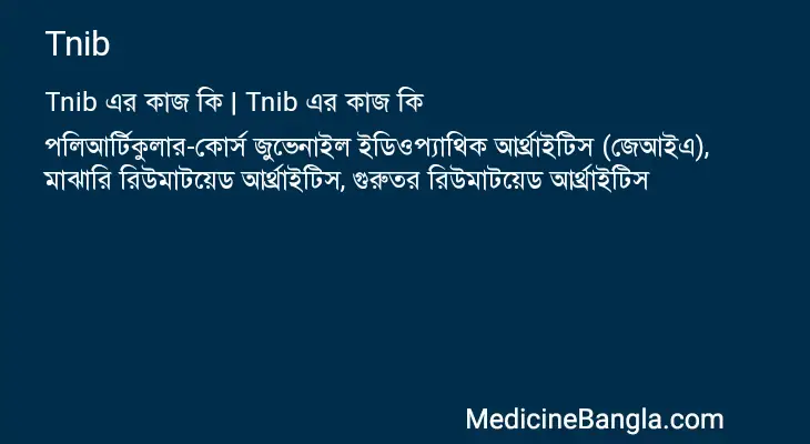 Tnib in Bangla