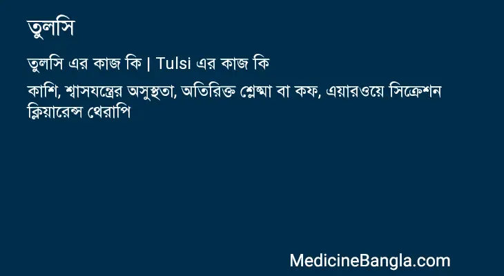 তুলসি in Bangla