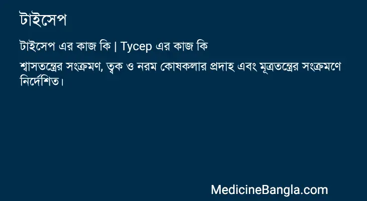 টাইসেপ in Bangla