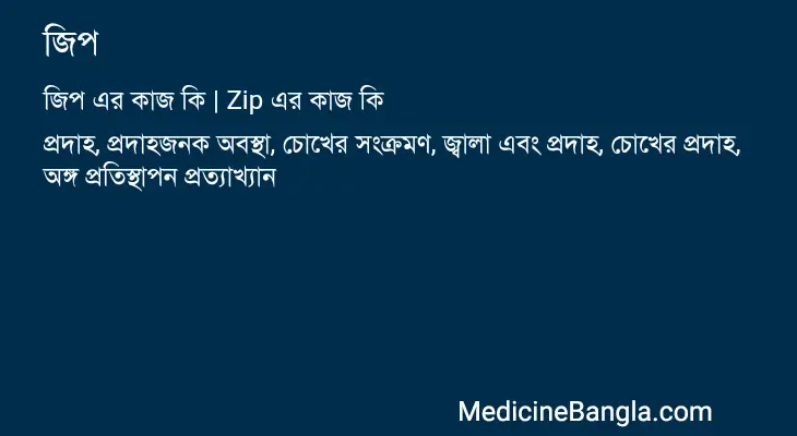 জিপ in Bangla